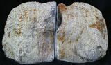 Dugway Geode Bookends - Sparking Crystals #33197-3